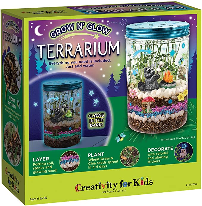 Creativity for Kids Grow 'N Glow Terrarium Kit for Kids - Science Activities for Kids (P