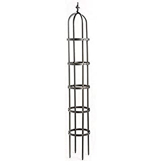 Luster Leaf Tomato Tower Obelisk : Plant Stands : Garden & Outdoor