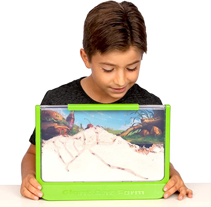 Amazon.com: Uncle Milton Giant Ant Farm - Large Viewing Area - Care for Live Ants - Nature Learning 