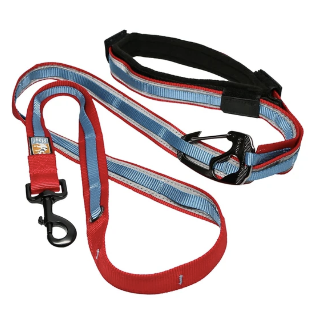 Hands Free Dog Leash | Quantum Leash for Hiking and Running