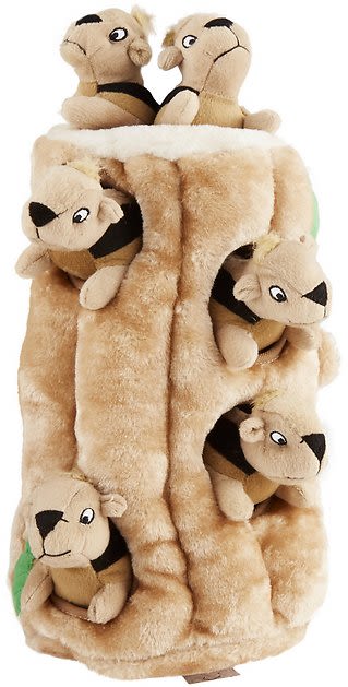OUTWARD HOUND Hide A Squirrel Squeaky Puzzle Plush Dog Toy | Chewy (Free Shipping)