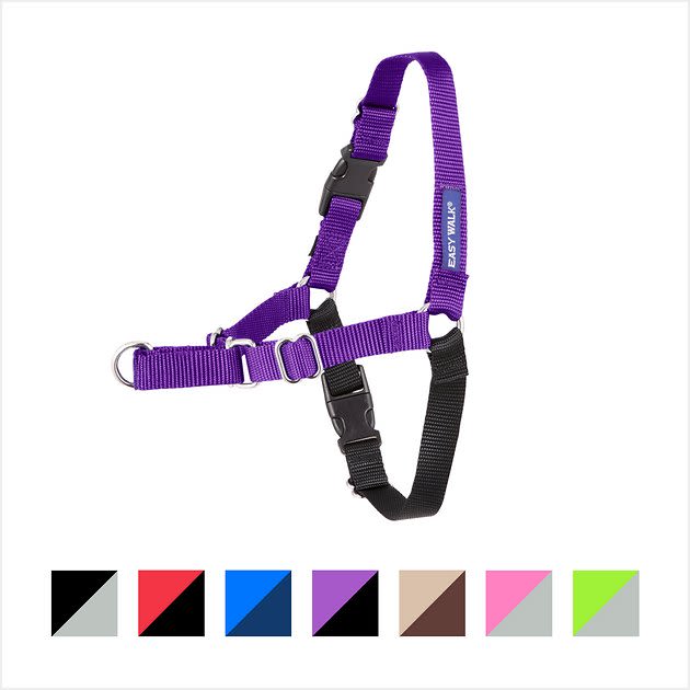 PETSAFE Easy Walk Dog Harness, Purple/Black, Small/Medium - Chewy.com