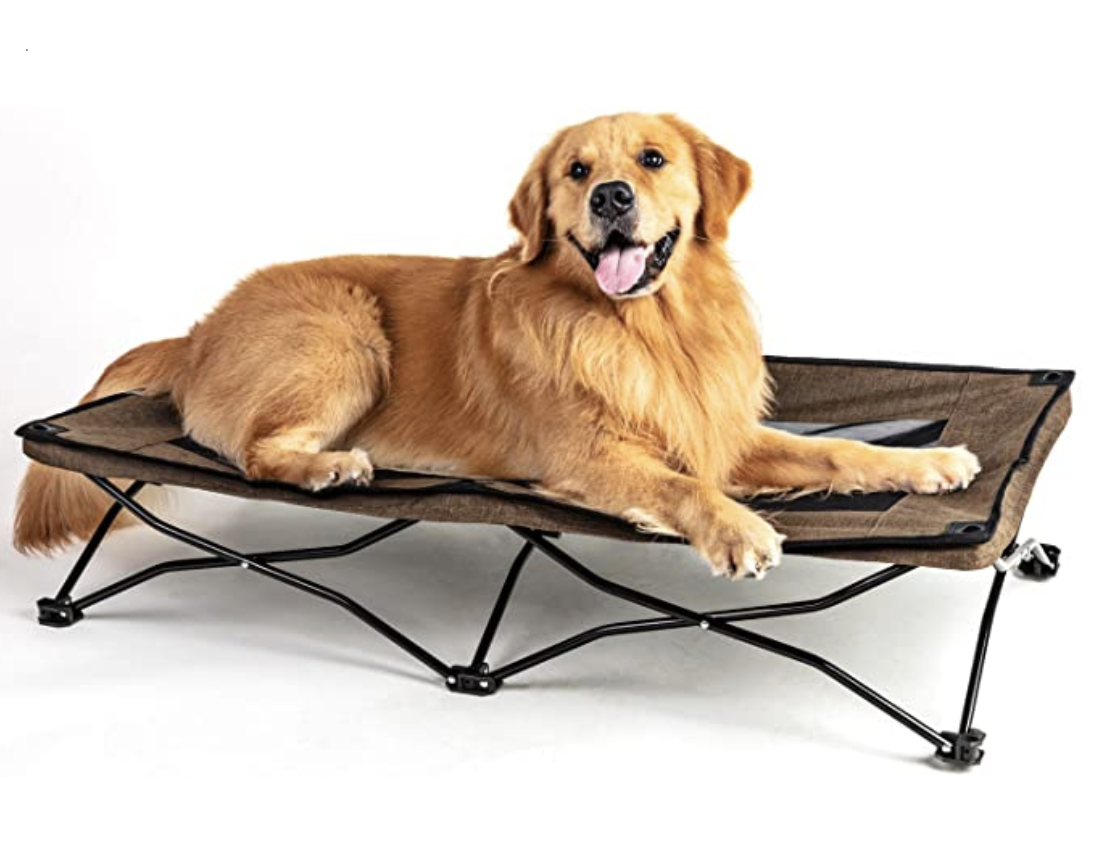 Amazon.com : Maxpama 47 inches Large Elevated Dog Bed Cot,Cooling Raised Pet Cots for Small Medium L
