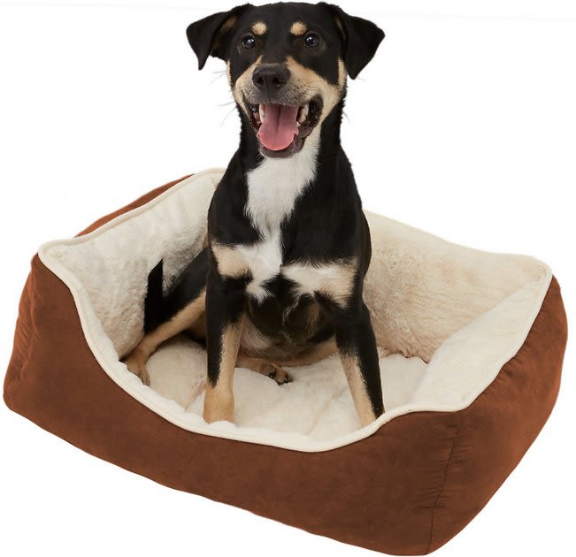 FRISCO Rectangular Bolster Cat & Dog Bed, Brown, Medium - Chewy.com