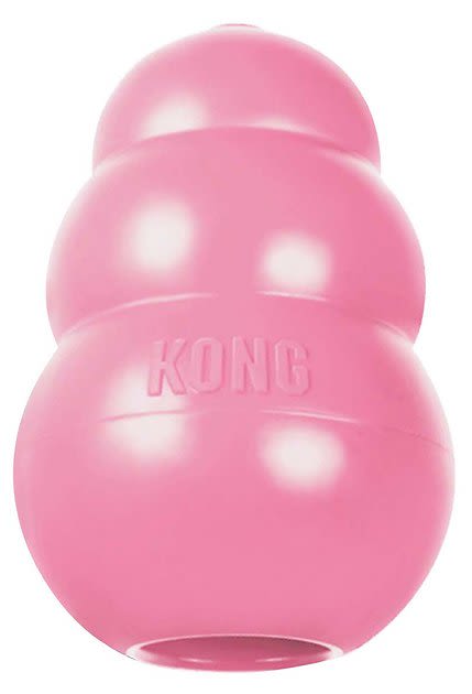 KONG Puppy Dog Toy, Color Varies, X-Small - Chewy.com