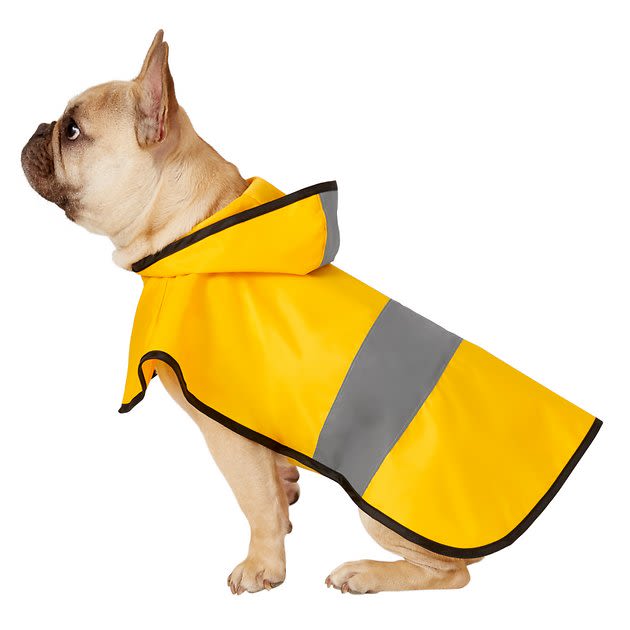 FRISCO Rainy Days Dog Raincoat, Medium, Yellow - Chewy.com