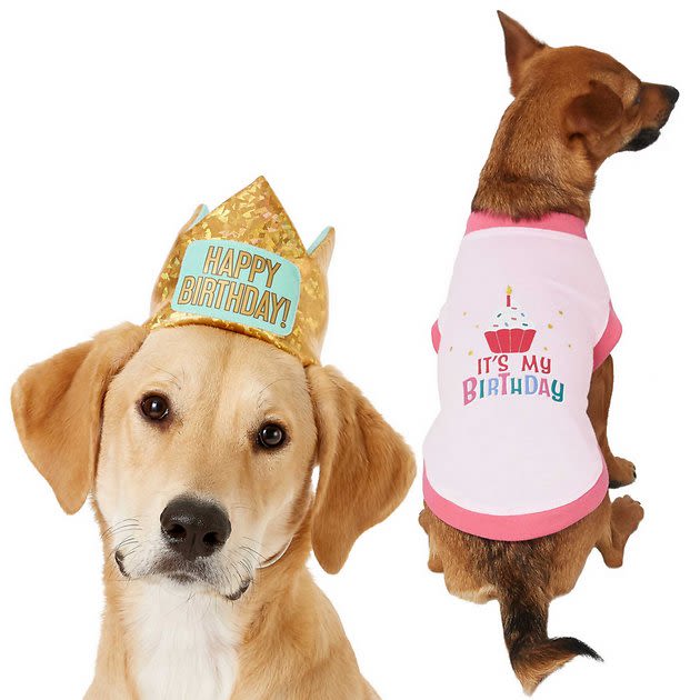 FRISCO Happy Birthday Crown, X-Small/Small + Dog & Cat T-Shirt, Pink, X-Small - Chewy.com