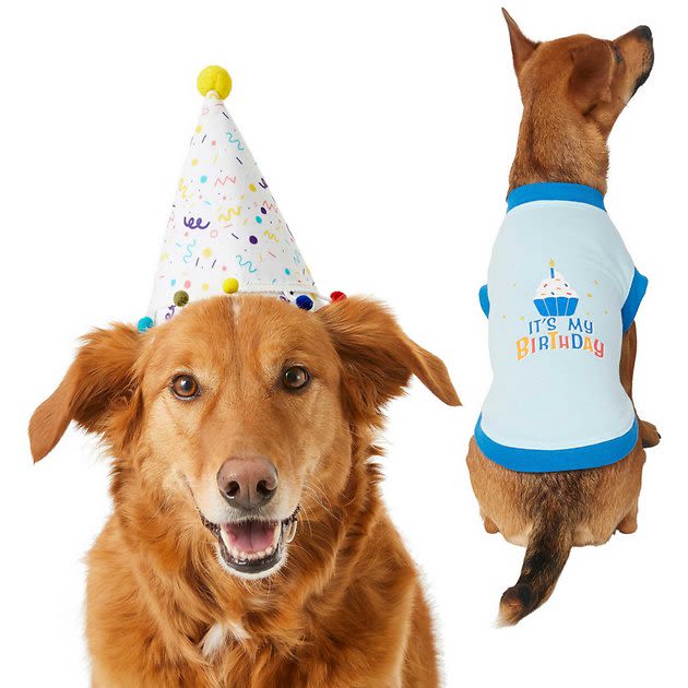 FRISCO Confetti Birthday Hat, Medium/Large + Dog & Cat T-Shirt, Blue, Large - Chewy.com