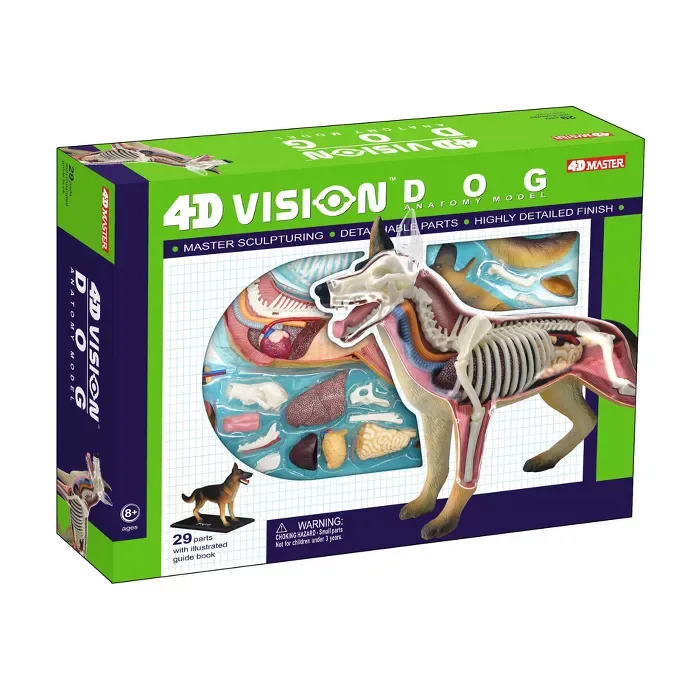 4d Dog Anatomy Model : Target