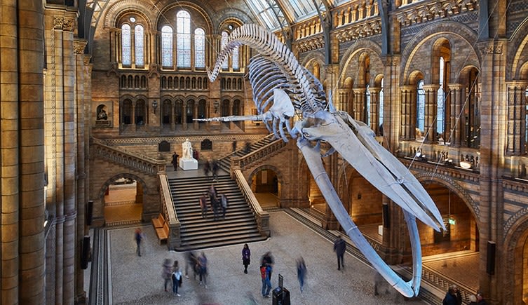 Museum Membership