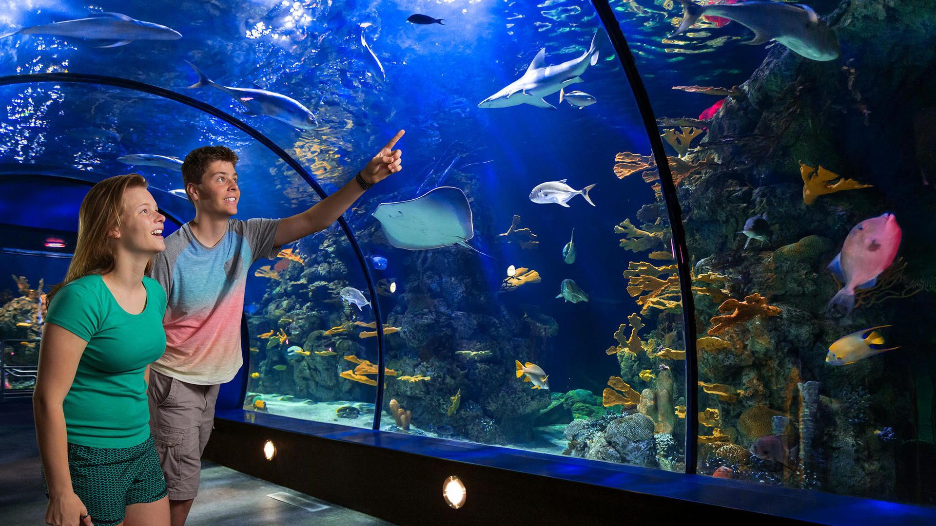 Aquarium Membership