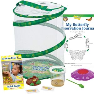 Insect Lore Butterfly Garden: Original Habitat and Live Cup of Caterpillars with STEM Bu