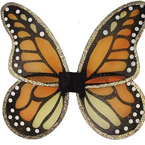 Amazon.com: Great Pretenders 16750, Monarch Wings/Wand Set : Toys & Games