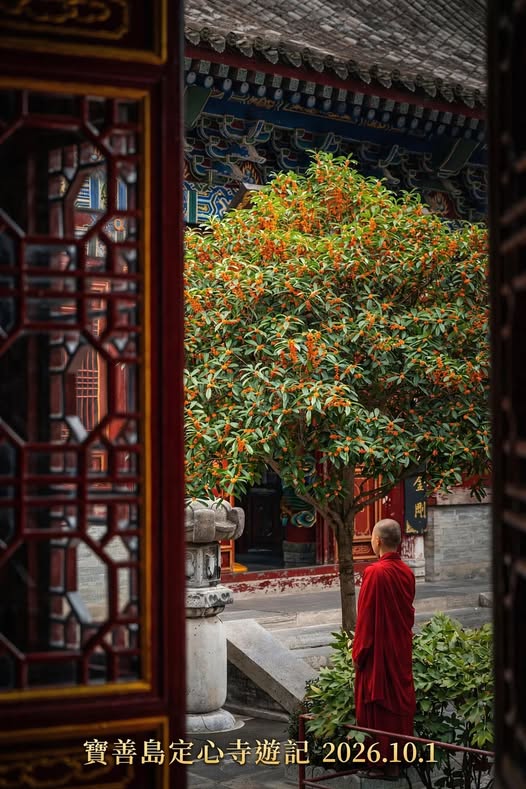 《長相思·寶善島定心寺觀紅衣小僧正念》