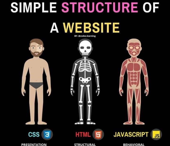 HTML1.jpg