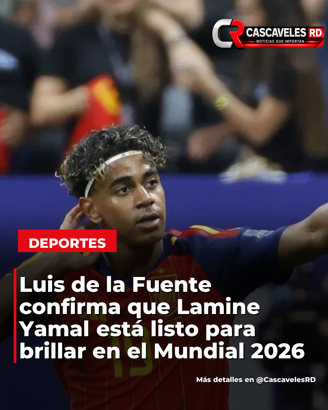 Imagen de la noticia