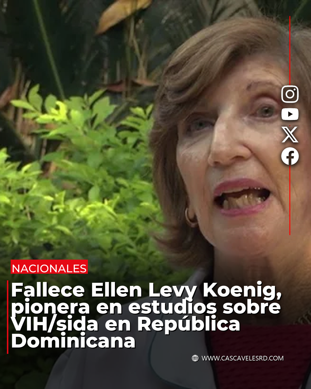 Imagen de la noticia