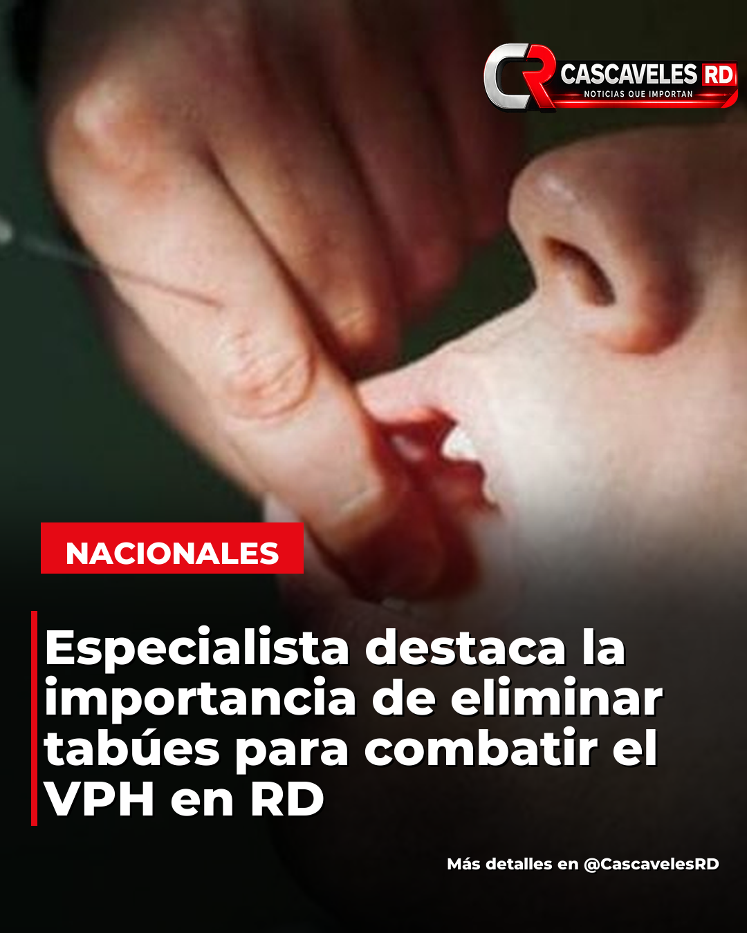 Imagen de la noticia
