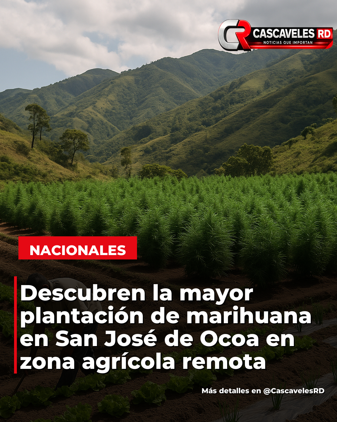 Imagen de la noticia