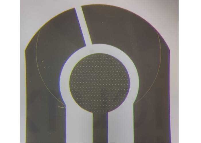 Microelectrode Array (MEA) Microelectrode Array (MEA)