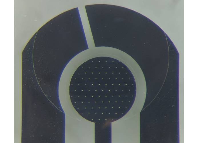 Microelectrode Array (MEA) Microelectrode Array (MEA)