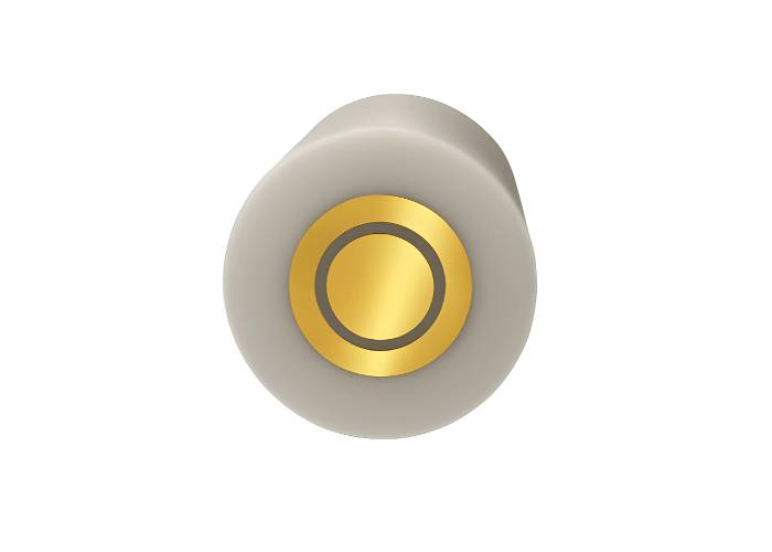 Gold–Gold Rotating Ring-Disk Electrode (Au–Au RRDE) Gold–Gold Rotating Ring-Disk Electrode (Au–Au RRDE)