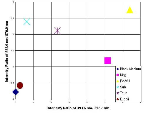 Intensity ratio plot for bacteria discrimination