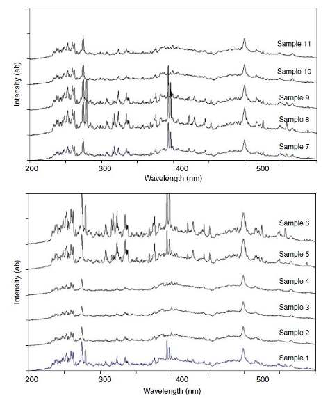 LIBS spectra for industrial paint samples obtained from Caterpillar Inc.