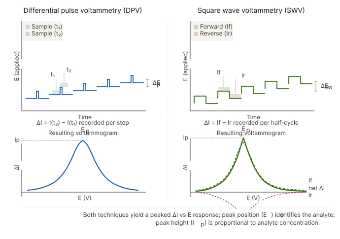 DPV vs SWV voltammetry waveform comparison &mdash; differential pulse square wave electrochemical biosensor