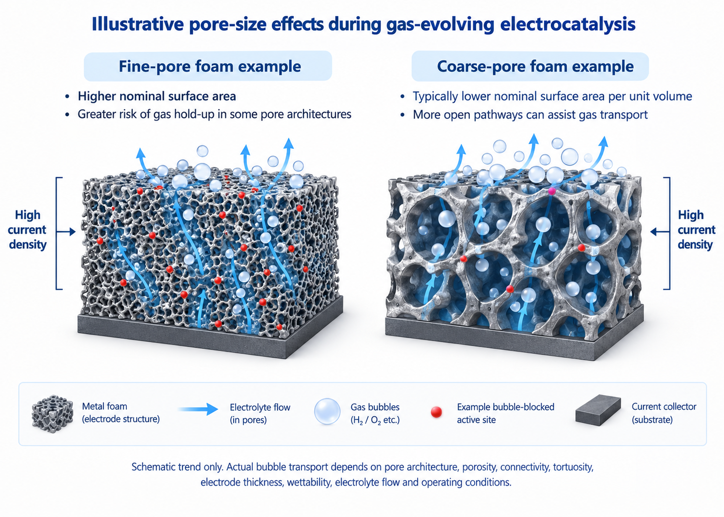 Fine and Coarse Pore Foam Effects.png Schematic comparison of fine-pore and coarse-pore metal foam during gas-evolving electrocatalysis, illustrating the trade-off between nominal surface area and bubble transport.