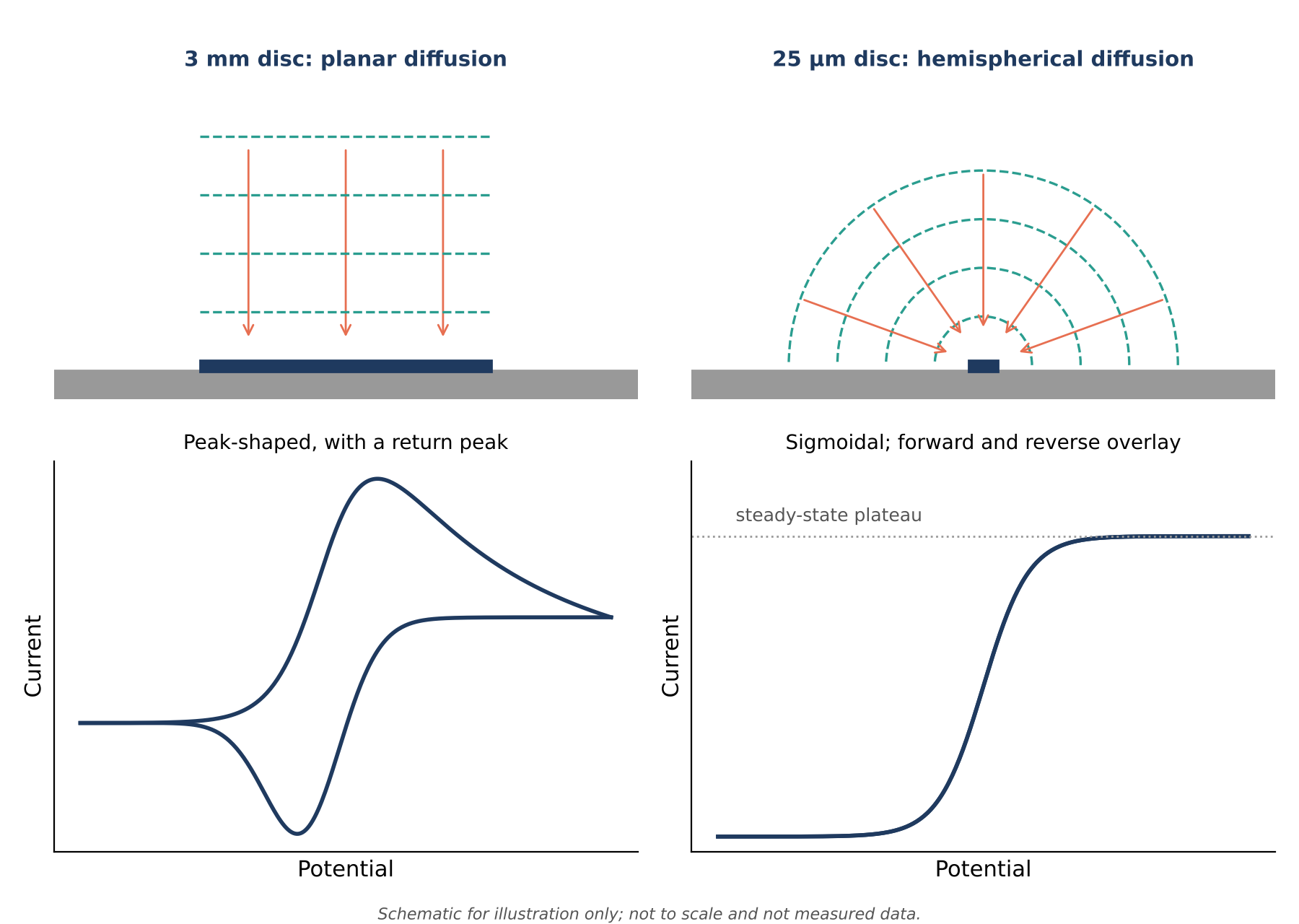 figure-4-planar-vs-hemispherical-diffusion.png Planar diffusion at a 3 mm disc gives a peak-shaped voltammogram; a 25 micrometre disc gives a sigmoidal plateau