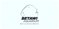 OZ Discus - Network - Partners - Betawi Aquarium - Small