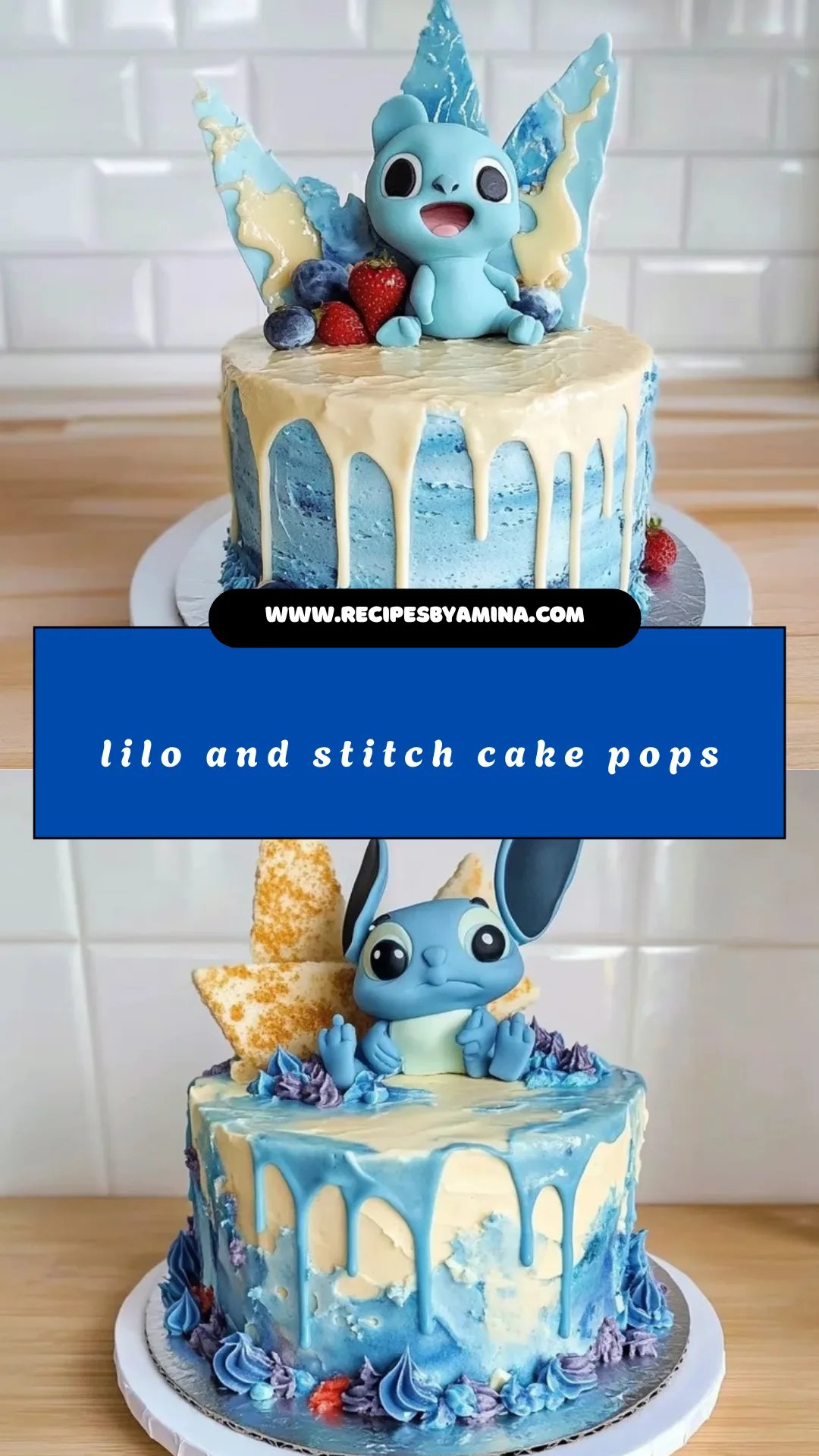 Pin Image 2
