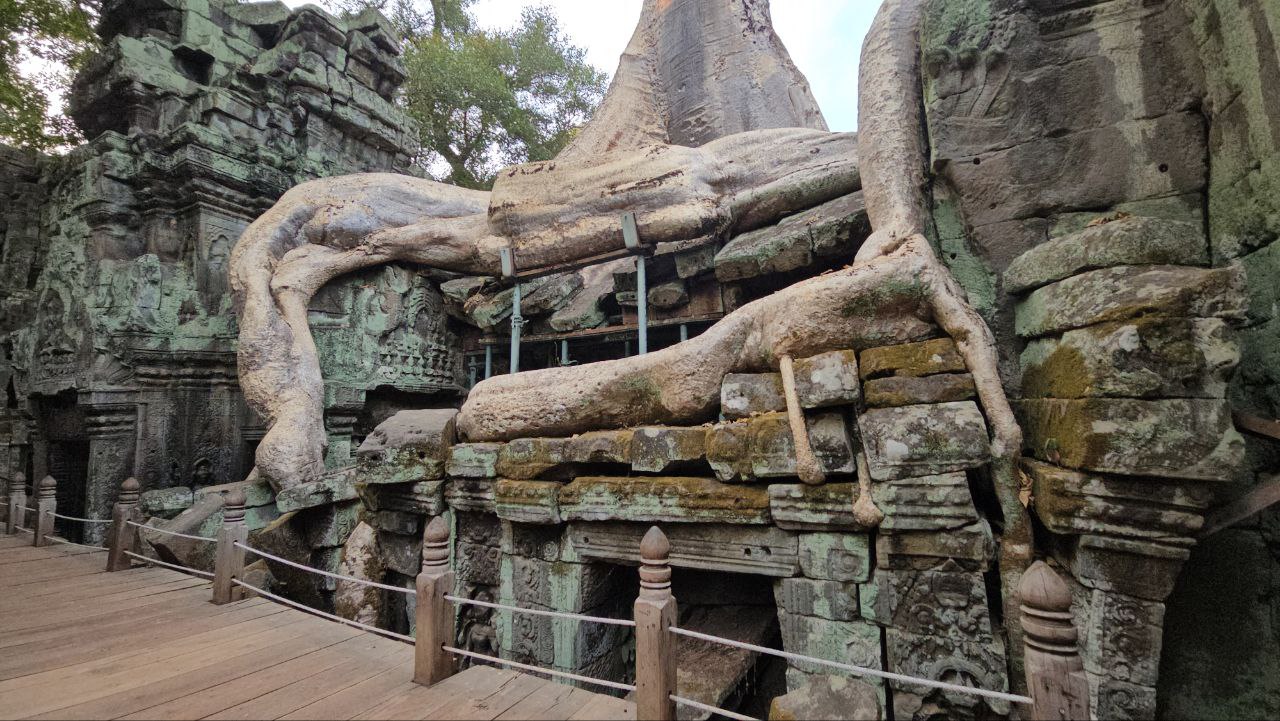 Ta Prohm