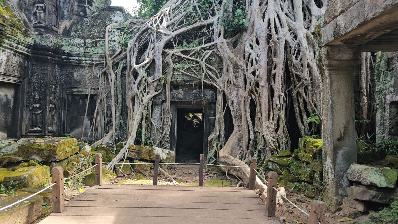 Ta Prohm