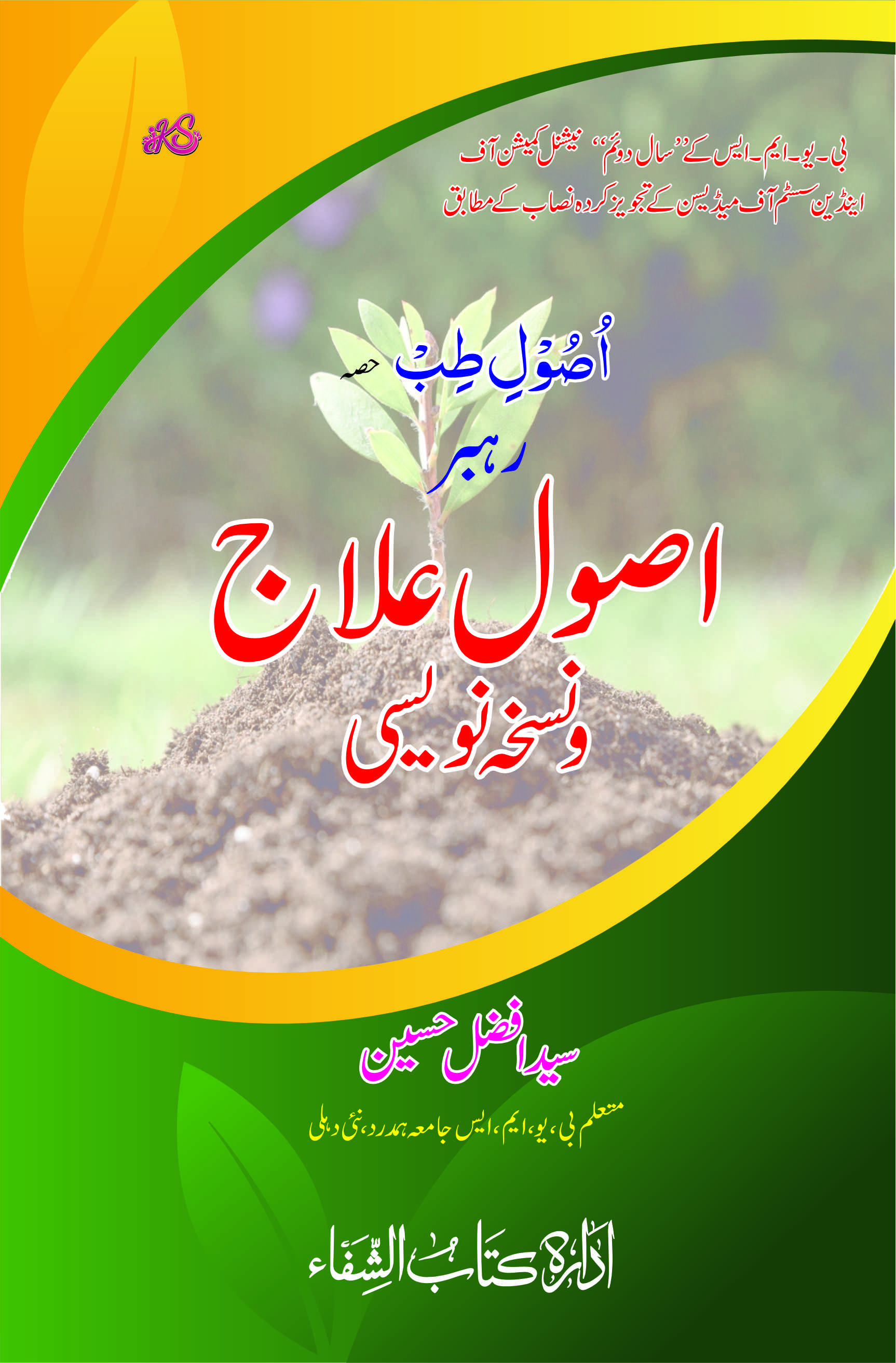 Rehbar Usoole Ilaj Wa Nuskha Navesi