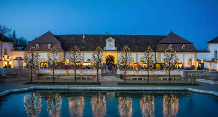 Mesés fényinstallációkkal nyílik az adventi vásár Schloss Hof kastélyában