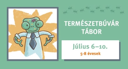 Természetbúvár tábor a Bartók Pagonyban 