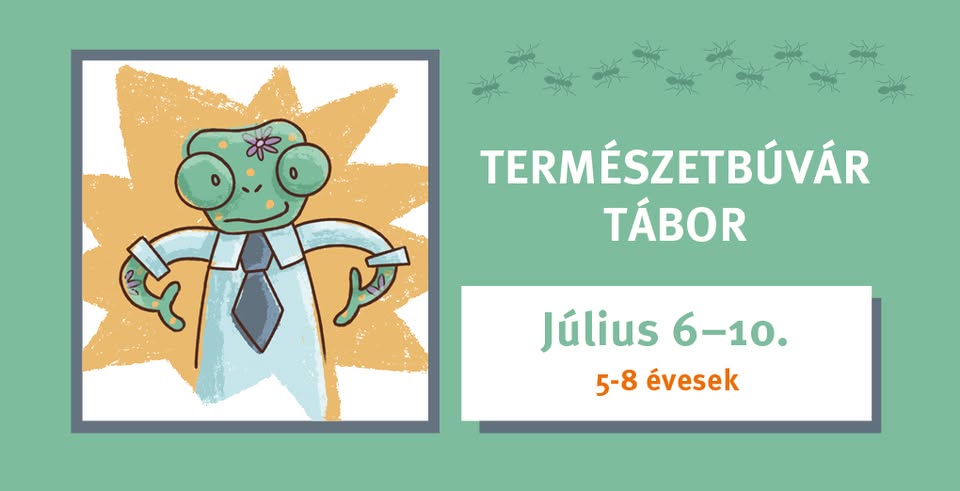 Természetbúvár tábor a Bartók Pagonyban 
