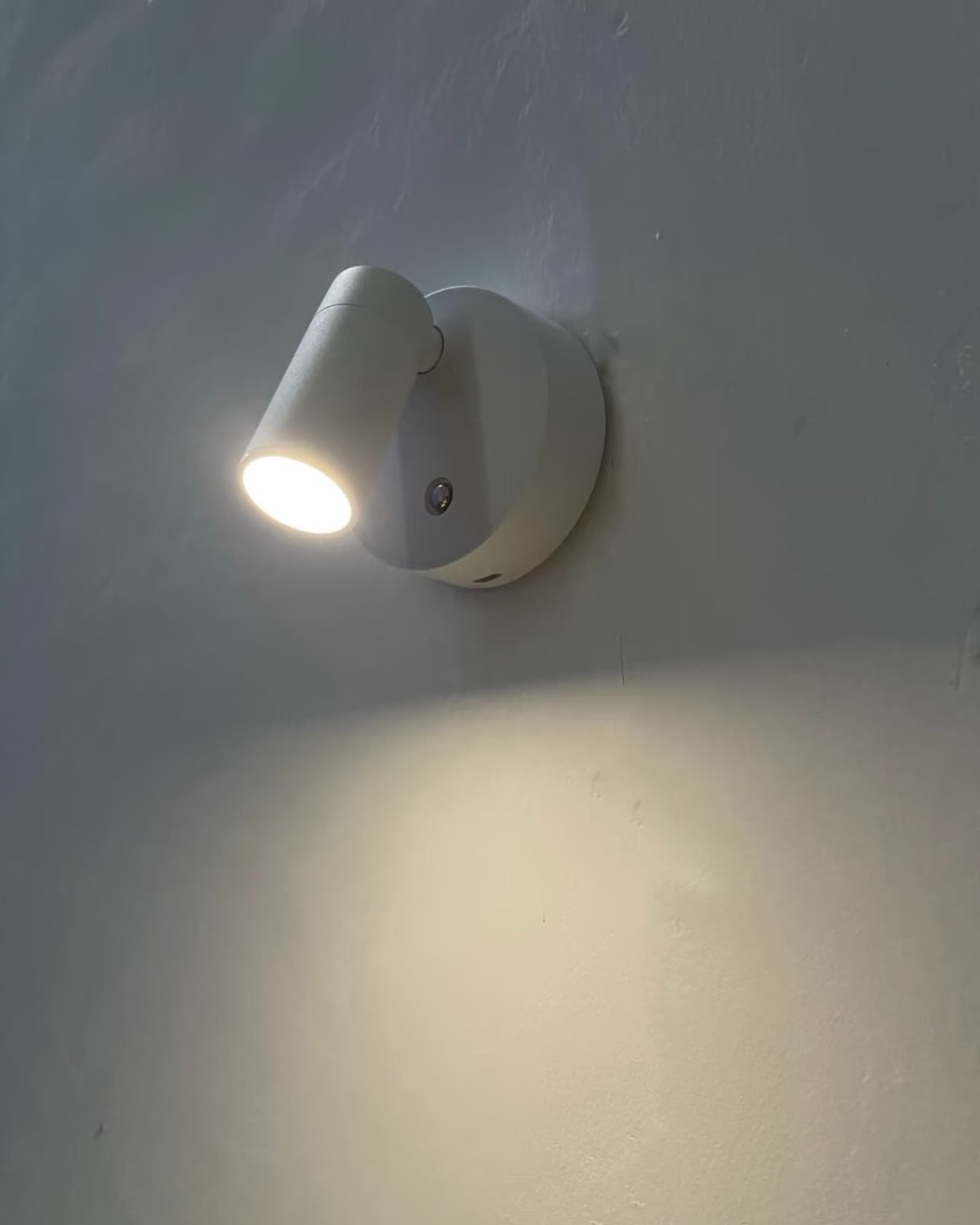 Dotty spotlight — Photograph 9 of 11