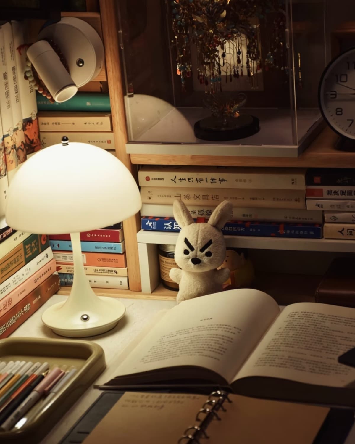 Dotty spotlight — Photograph 10 of 11