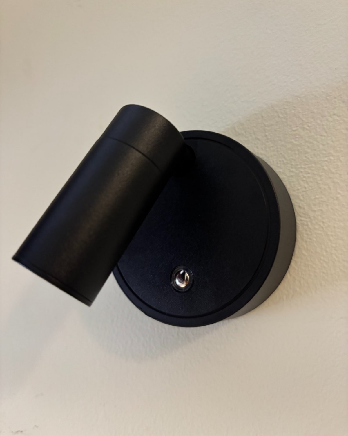 Dotty spotlight — Photograph 7 of 11
