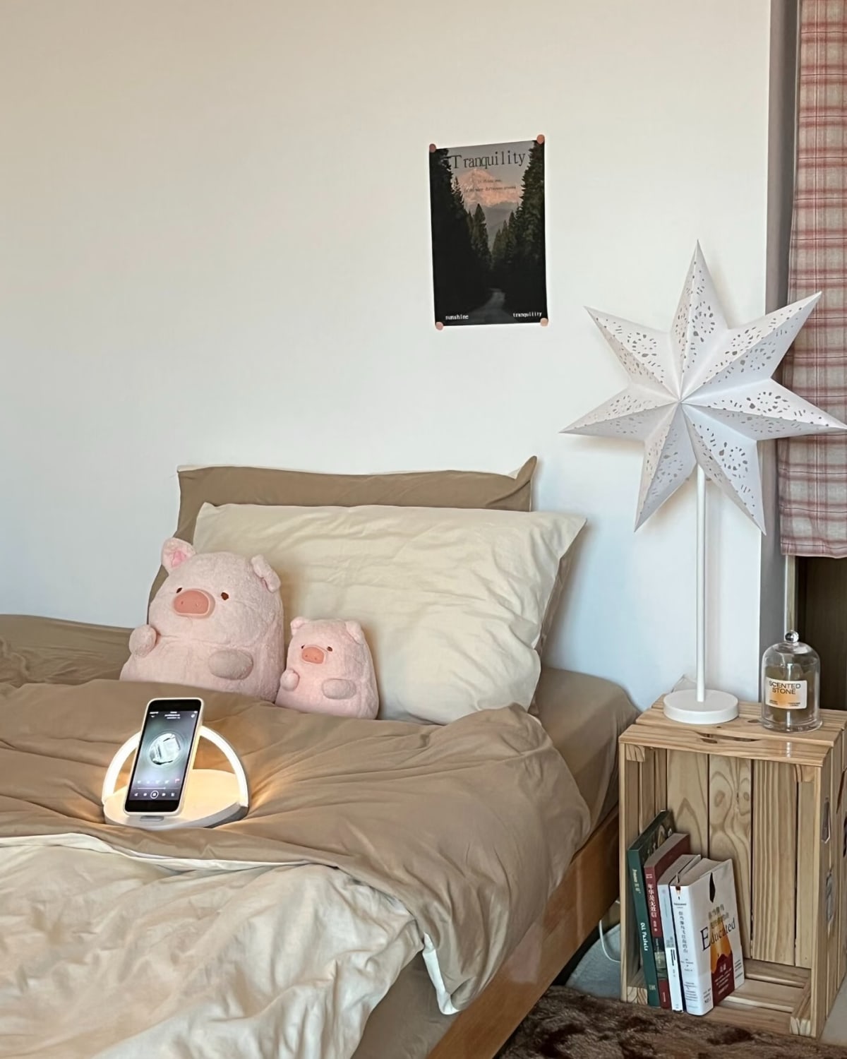 Paper Star Lantern (Stand) — រូបថតទី 8 នៃ 10