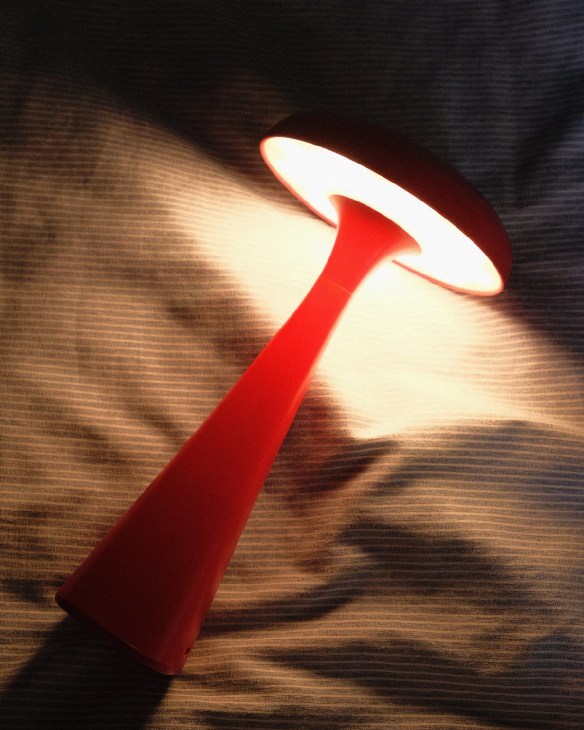 Jellyfish table lamp — Photograph 11 of 17