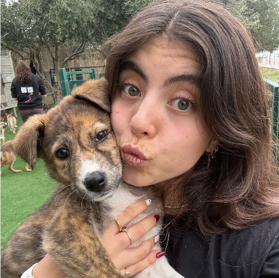 פני