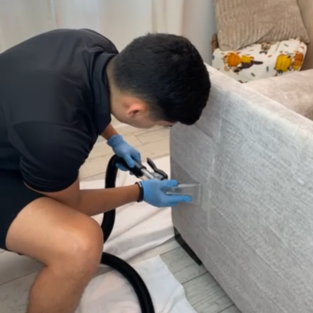 Couch Cleaning