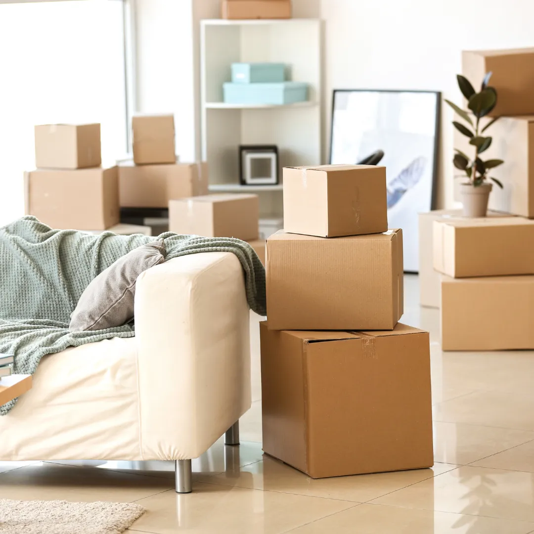 Move In/Out Cleaning