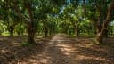 623 Sq.Ft. Residential Plot at KG Fields of Fortune — Photo 3