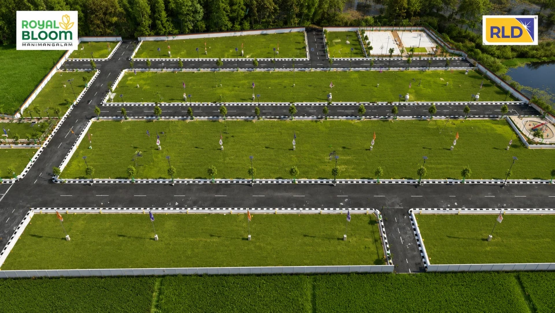 RLD Royal Bloom — view 3