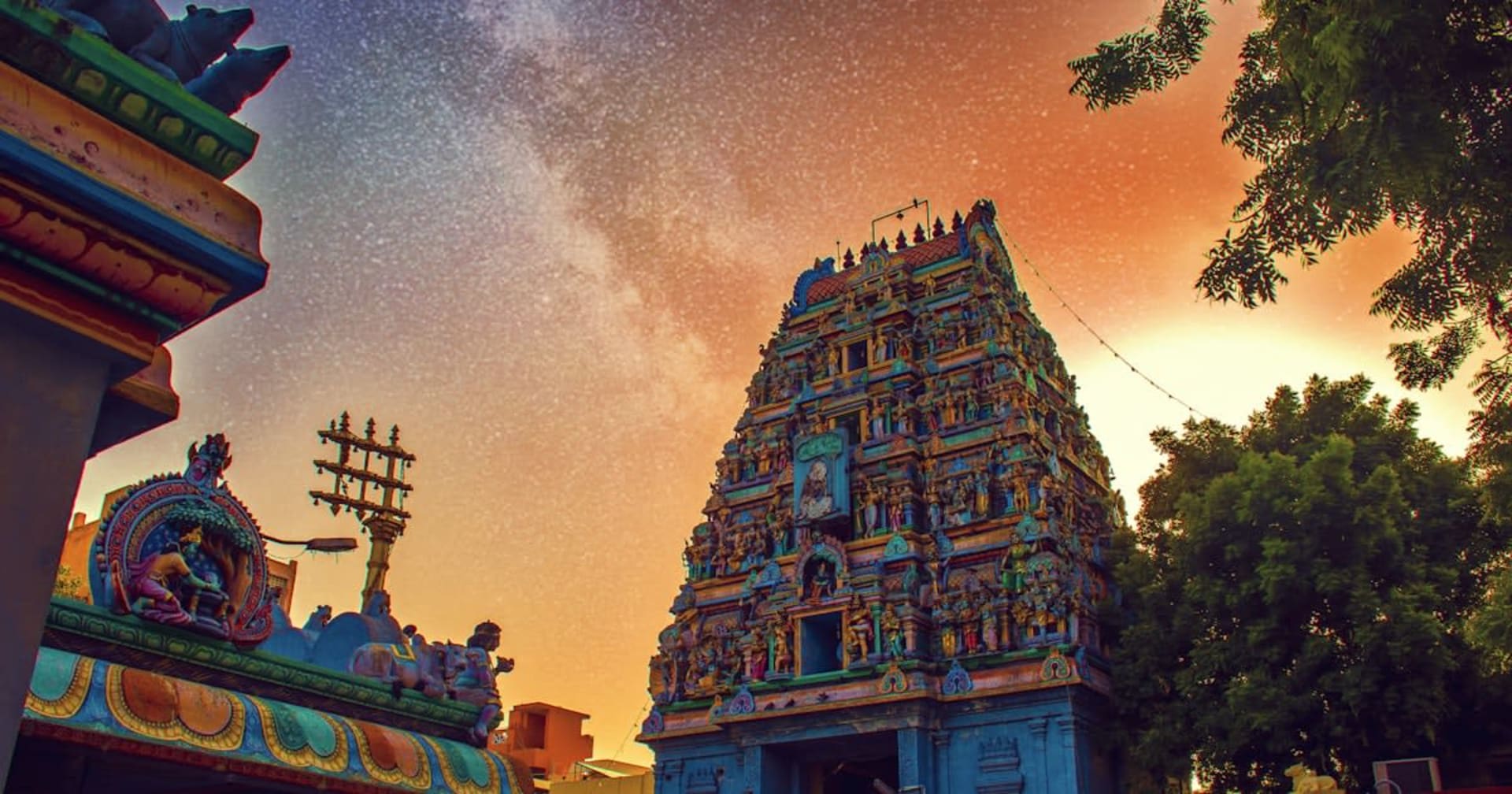 Pallikaranai Wetland Case: Full Timeline From the NGT Ban to the Madras High Court Challenge